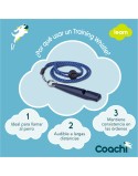 Pfeife Coachi