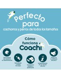 Pfeife Coachi
