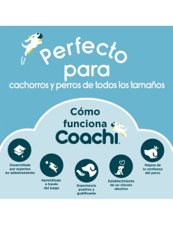 Pfeife Coachi