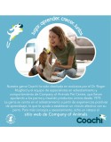 Pfeife Coachi Blau
