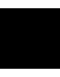 Lenzuolo Superiore Happy Home MIX COLORS Nero 160 x 270 cm