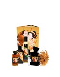 Large Pleasure Kit Shunga