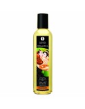 Large Pleasure Kit Shunga
