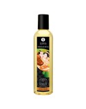 Large Pleasure Kit Shunga