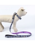 Collar para Perro Disney