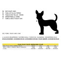 Collar para Perro Disney