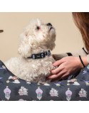 Collar para Perro Disney