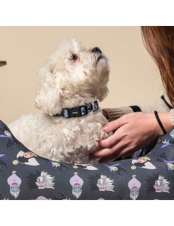 Collar para Perro Disney