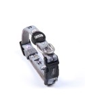 Dog collar Disney