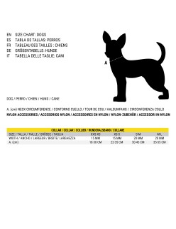 Dog collar Disney