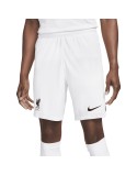 Herren-Sportshorts Nike DN2725-100-M