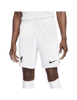 Herren-Sportshorts Nike DN2725-100-M