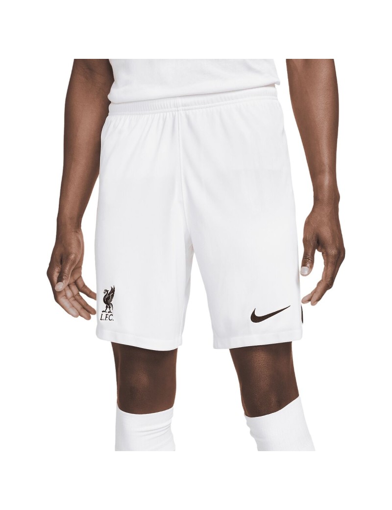 Herren-Sportshorts Nike DN2725-100-M
