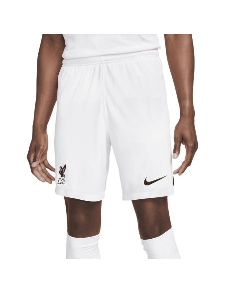 Herren-Sportshorts Nike DN2725-100-M