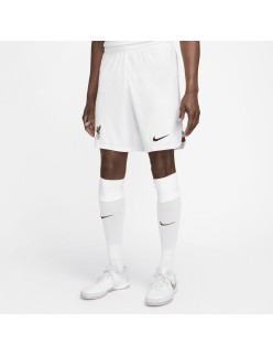 Herren-Sportshorts Nike DN2725-100-S