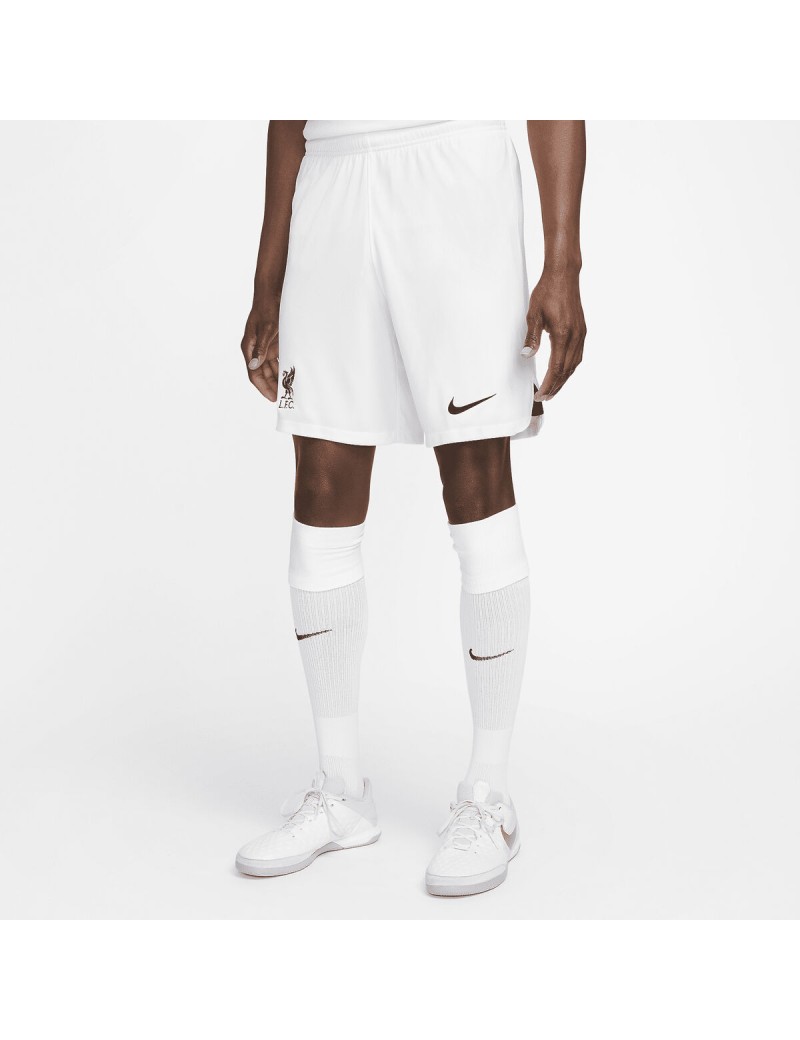 Herren-Sportshorts Nike DN2725-100-S