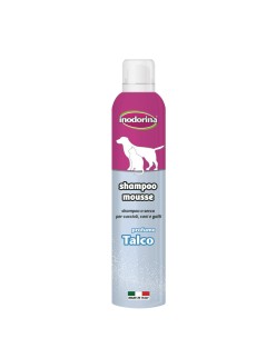 Champú