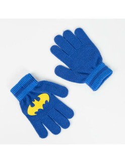 Bolsa Nevera Batman