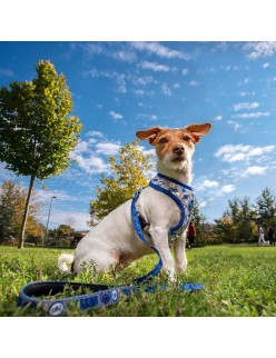Hundegeschirr Stitch