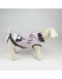 Pull pour Chien Disney
