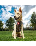 Arnés para Perro Marvel Rojo Reversible S/M