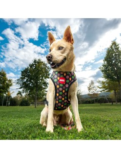 Arnés para Perro Marvel Rojo Reversible S/M