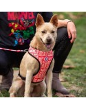 Hundegeschirr Marvel Rot Reversibel S/M