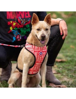 Arnés para Perro Marvel Rojo Reversible S/M