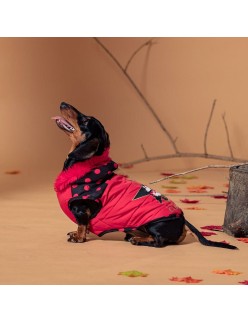 Abrigo para Perro Minnie Mouse Poliéster