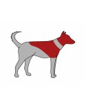 Collar para Perro Trixie