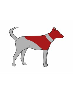 Collar para Perro Trixie