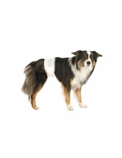 Windeln Trixie 23642 M/L 12 Stück