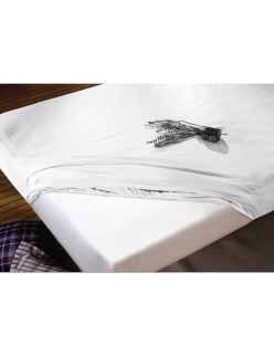 Fitted bottom sheet Hosteline IRIS White Single