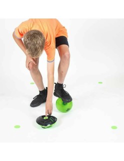 Pelota Famosa