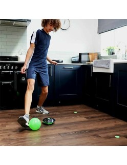 Pelota Famosa