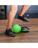 Pelota Famosa