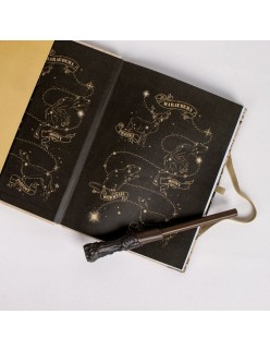 Bolsa Nevera Harry Potter Marrón Multicomposición
