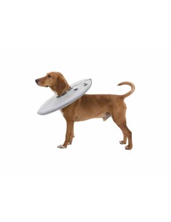 Collar Isabelino para Perros Trixie Gris (30-34 cm)