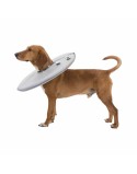 Collar Isabelino para Perros Trixie Gris (30-34 cm)