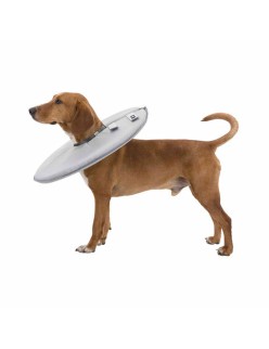 Colar Isabelino para Cães Trixie Cinzento (30-34 cm)