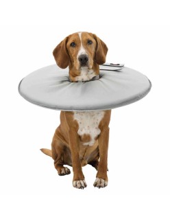 Colar Isabelino para Cães Trixie Cinzento (30-34 cm)