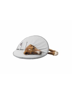 Colar Isabelino para Cães Trixie Cinzento (30-34 cm)