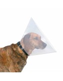 Collar Isabelino para Perros Trixie (31-38 cm)