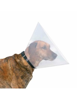 Collar Isabelino para Perros Trixie (38-44 cm) (38-42 cm)