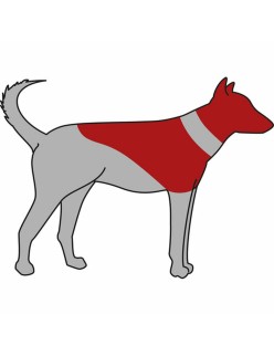 Collar protector para perro Trixie Azul Inflable (45-57 cm)