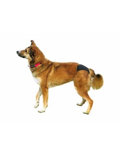 Bragas Trixie 23495 Algodón XL