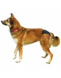 Höschen Trixie 23495 Baumwolle XL