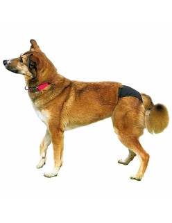 Bragas Trixie 23495 Algodón XL