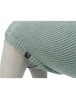 Jersey para Perro Trixie Berlín Verde XL