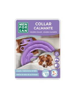 Collare per Cani Menforsan Viola